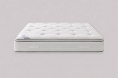 Pillowtop Medium Firm Mattress